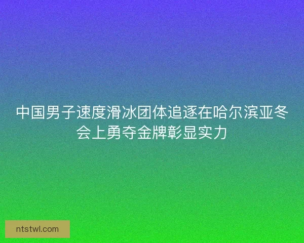 中国男子速度滑冰团体追逐在哈尔滨亚冬会上勇夺金牌彰显实力